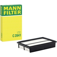 Mann-Filter C 2841