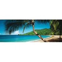 Papermoon Soft Water Stream Panorama 350 x 100 cm