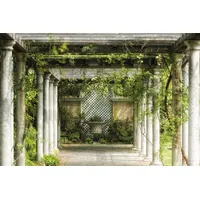Papermoon Walkway in Garden 350 x 260 cm Vlies