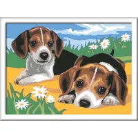 Ravensburger Malen nach Zahlen Jack Russel Welpen 15 St.