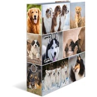 Herma Motiv-Ordner A4 Motiv Animals Hunde