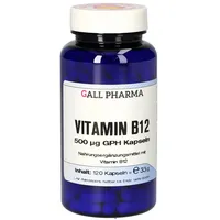 Hecht Pharma VITAMIN B12 500 ug GPH Kapseln 120