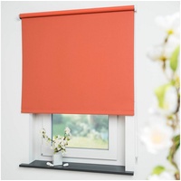 LIEDECO Seitenzugrollo Uni 122 x 180 verdunkelnd terrakotta