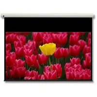 Optoma DE-9092EGA 203x116 16:9