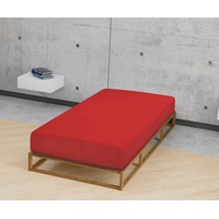 Biberna 0077866 Jersey-Elastic 180 x 200 - 200 x