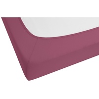 Biberna 0077866 Jersey-Elastic 140 x 200 - 160 x