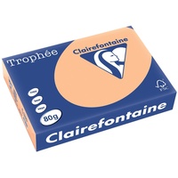 Clairefontaine Trophée A4 120 g/m2 500 Blatt aprikose