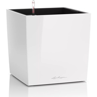 LECHUZA Cube 30 Komplettset 30 x 30 x 30