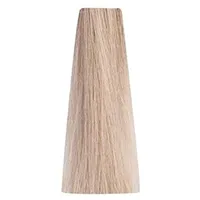 Inebrya Bionic Color 10/1 platinblond asch 100 ml