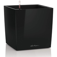 LECHUZA Cube 50 Komplettset 50 x 50 x 50