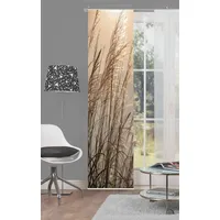 HOME WOHNIDEEN Home fashion Caruso Schiebevorhang Digitaldruck, Stoff, Natur,