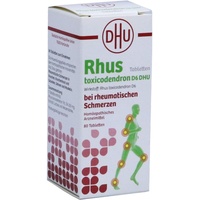 DHU-Arzneimittel Rhus TOXICODENDRON D 6 Tabl.bei rheumat.Schmerzen 80 St
