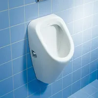 Duravit Duraplus Zulauf hinten, ohne Fliege