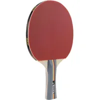 Joola Team Germany School (52000)