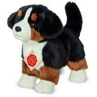 Teddy-Hermann  Berner Sennenhund Welpe