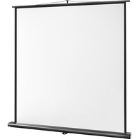 Celexon Ultramobil Professional 200 x 200 cm