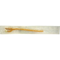 Teleflex Medical GmbH Homecare Urologie RUESCH-GOLD FRAU BALL KATH