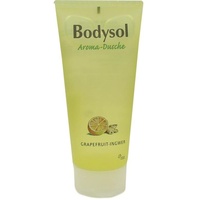 Perrigo deutschland gmbh Bodysol Aroma-Duschgel Grapefruit-Ingwer