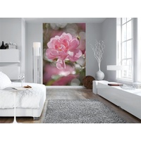 KOMAR Fototapete Bouquet 184 cm x 254 cm