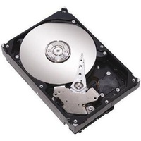 Fujitsu 1TB (S26361-F3951-L100)