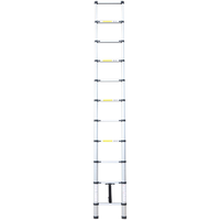 Craftfull Teleskopleiter 2,9 m 10 Sprossen inkl. Tragetasche