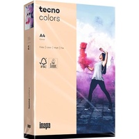 Inapa tecno colors A4 160 g/m2 250 Blatt lachs
