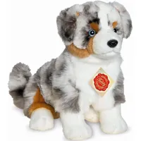Teddy-Hermann Australian Shepherd Welpe