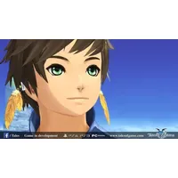 Bandai Namco Entertainment Tales of Zestiria (PEGI) (PS4)