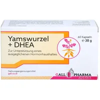 Hecht Pharma Yamswurzel + DHEA 25 mg Kapseln 60