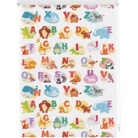 Lichtblick Rollo, Klemmfix, 60x150 cm ABC-Tafel, bunt