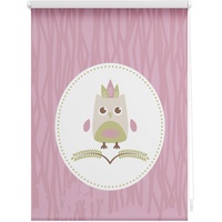 Lichtblick Rollo, Klemmfix, ohne Bohren, Verdunkelung, Sweety rosa -