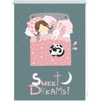 Lichtblick Rollo, ‎‎Klemmfix, 45x150 cm Sweet Dreams grau rosa