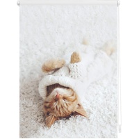Lichtblick Rollo, Klemmfix ohne Bohren, Verdunkelung, Sleepy Cat weiß