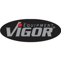 VIGOR V2542