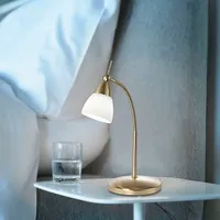 Paul Neuhaus Pino Metall Gold Messing