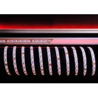 Kapego 5050-60-24V-RGB+3000K-5m Flexibler LED Stripe, weiß (840236)