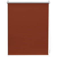 Lichtblick Thermo-Rollo Klemmfix 100 x 150 cm terracotta