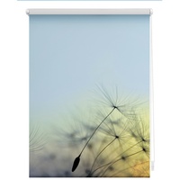 Lichtblick Rollo Klemmfix 60x150 cm
