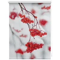 Lichtblick Rollo Klemmfix, 60x150 cm Vogelbeeren rot weiß