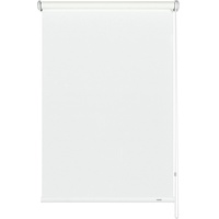 GARDINIA Seitenzug-Rollo, Uni Trend 102x180cm