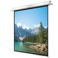 Celexon Motor Professional Plus 280 x 280 cm