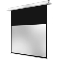 Celexon Motor Professional Plus 280 x 175 cm