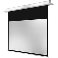Celexon Deckeneinbauleinwand Motor Professional Plus 280 x 210 cm