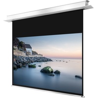 Celexon Deckeneinbauleinwand Motor Professional Plus 280 x 158 cm