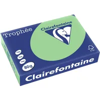 Clairefontaine Trophée A4 160 g/m2 250 Blatt vert nature
