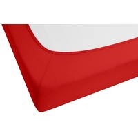 Biberna 0077866 Jersey-Elastic 140 x 200 - 160 x