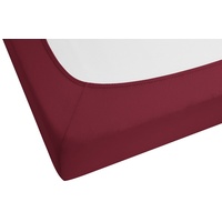 Biberna 0077866 Jersey-Elastic 180 x 200 - 200 x