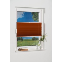 K-HOME Plissee Verdunklung, Polyester, Terra, 60 x 130 (B