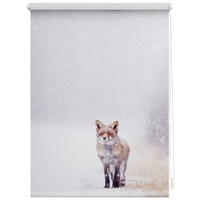 Lichtblick Rollo, Klemmfix 45x150 cm Rentire, weiß rot -