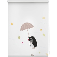 Lichtblick Rollo, Klemmfix, 45x150 cm - bunt